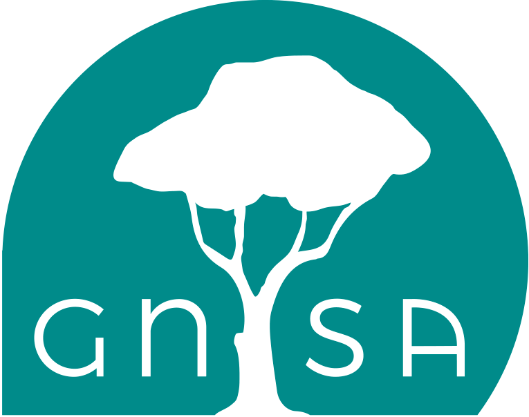 gnsa